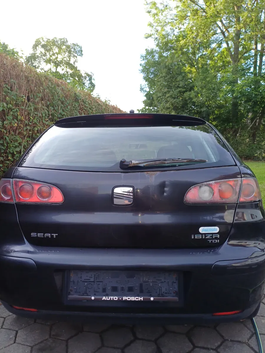 Seat Ibiza 2004 photo 2