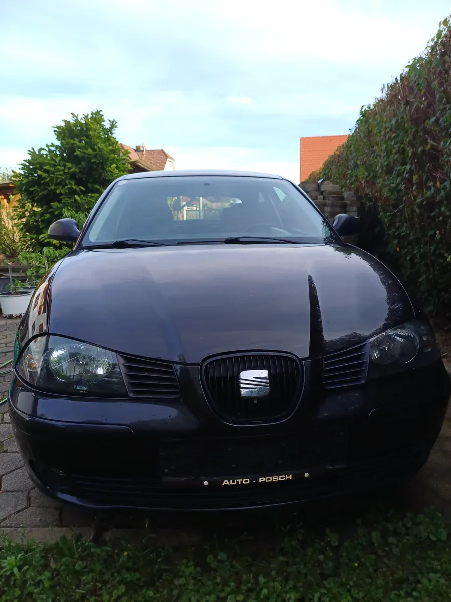 Seat Ibiza 2004 photo 3