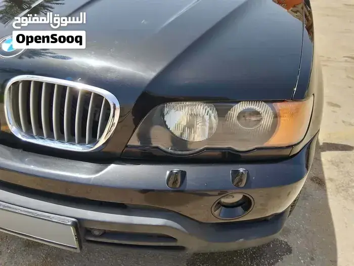 BMW X5 2004 photo 4