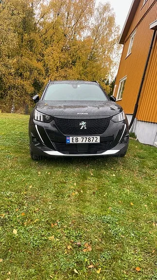 Peugeot E-2008 2020 photo 2