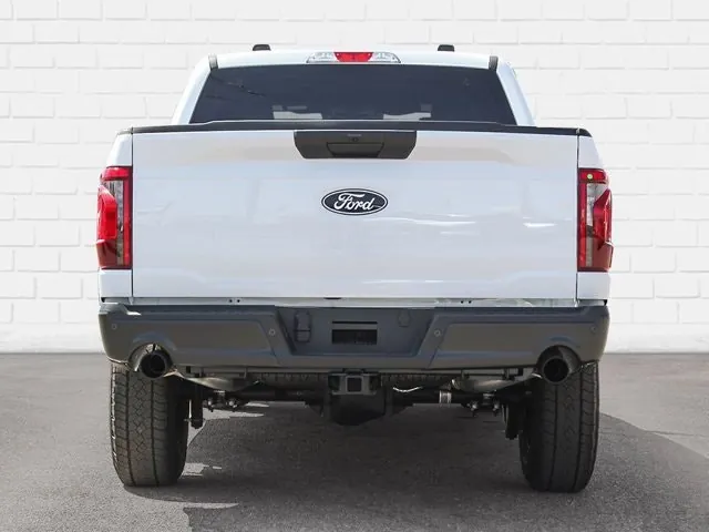 Ford F-150 2025 photo 5