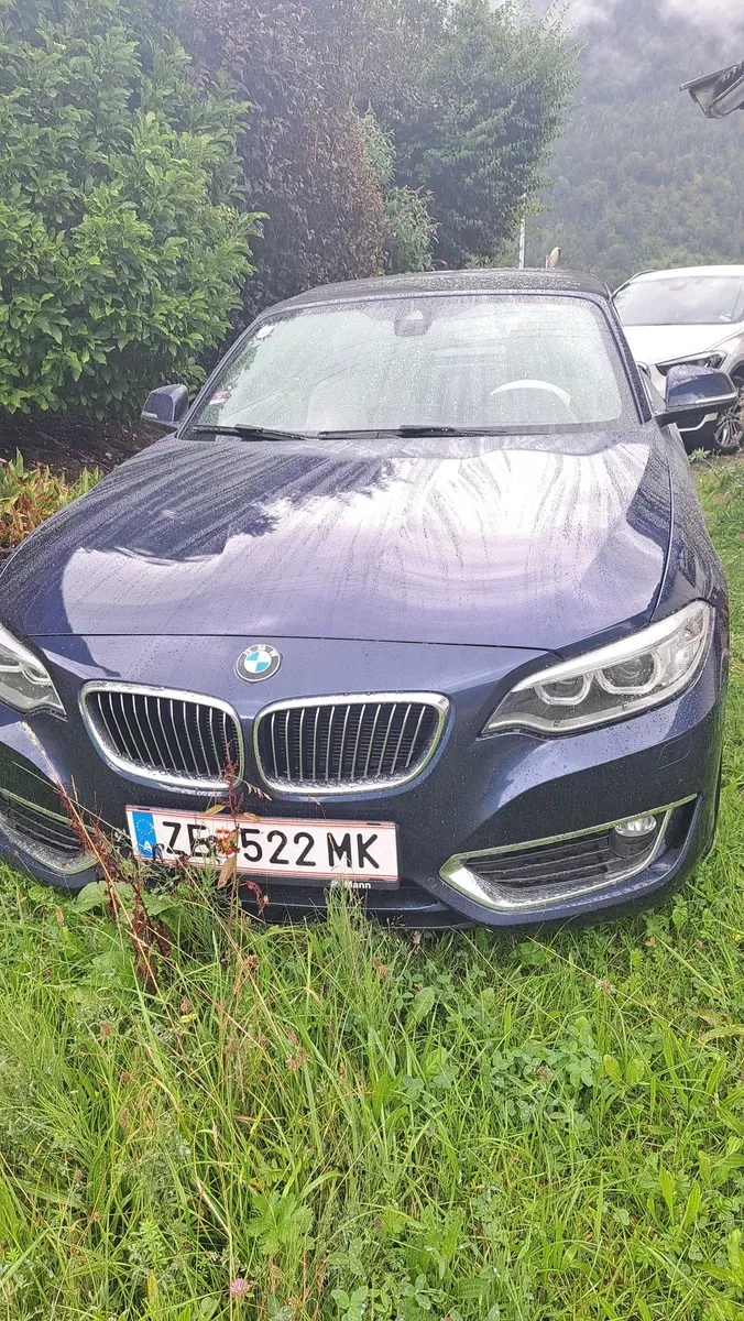BMW 2 Series 2015 photo 3