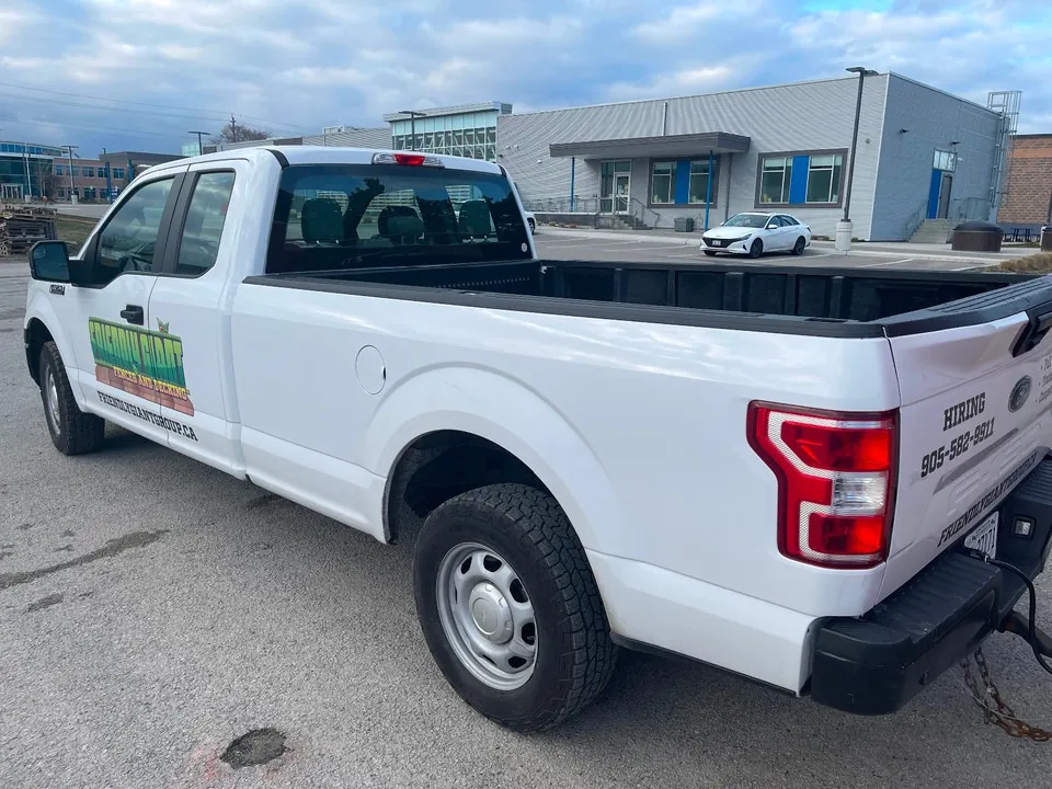 Ford F-150 2019 photo 2