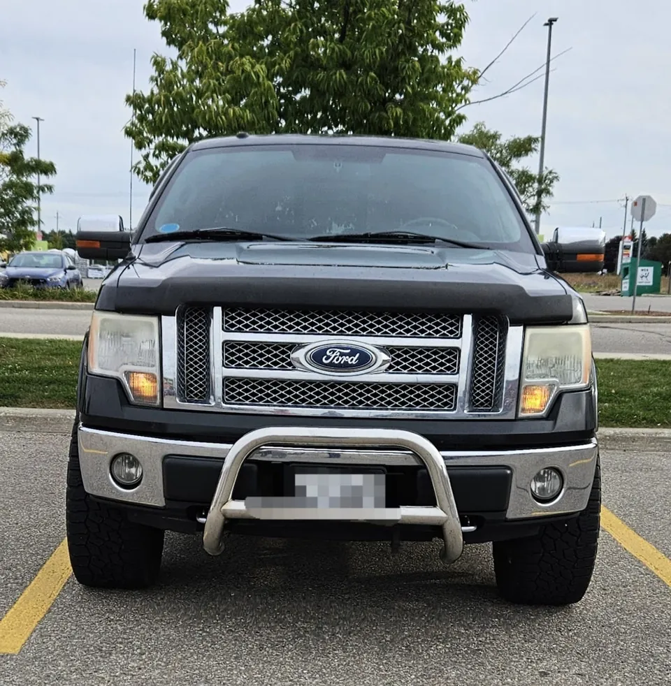 Ford F-150 2010 photo 2
