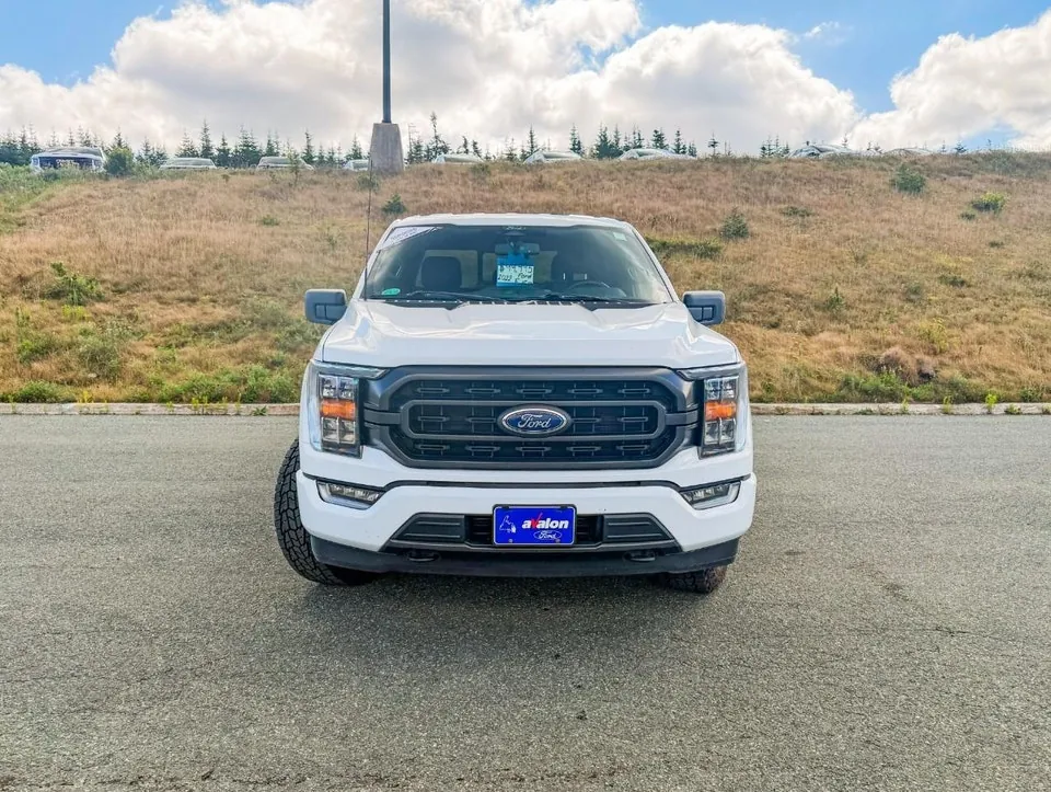 Ford F-150 2022 photo 3