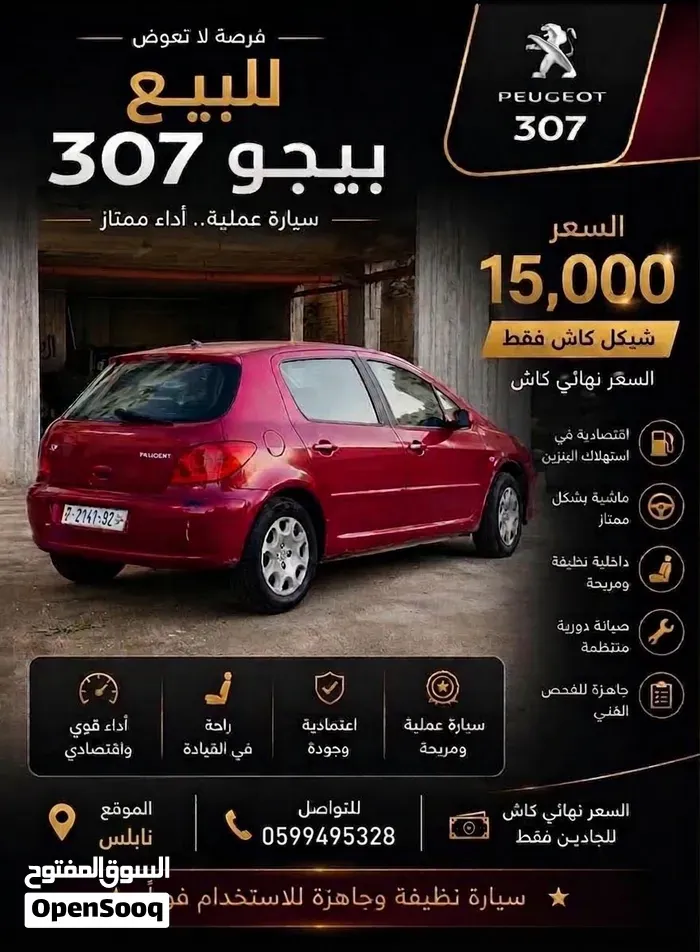 Peugeot 307 2007 photo 4