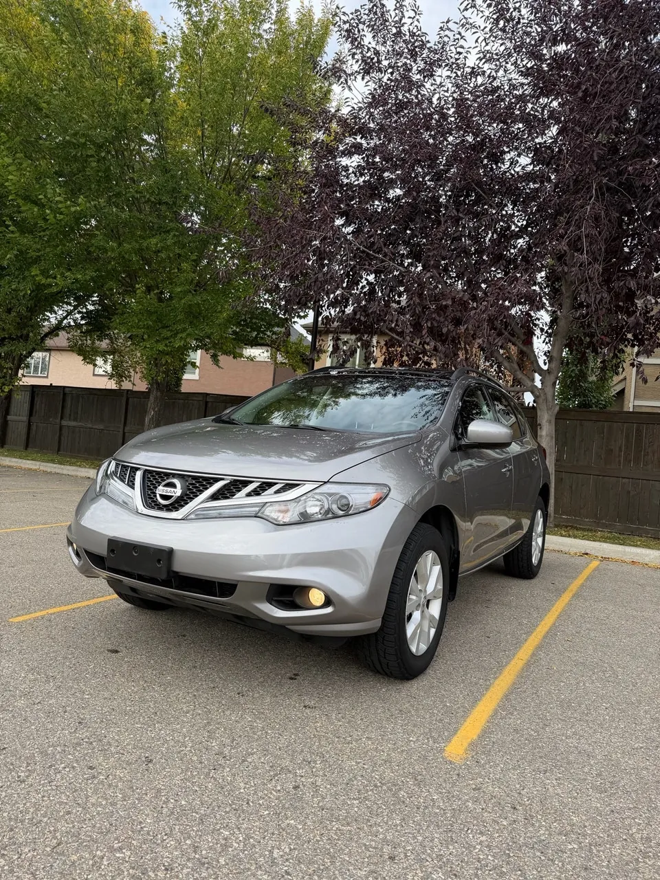 Nissan Murano 2011 photo 2