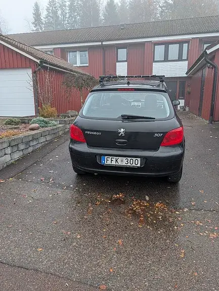 Peugeot 307 2007 photo 3
