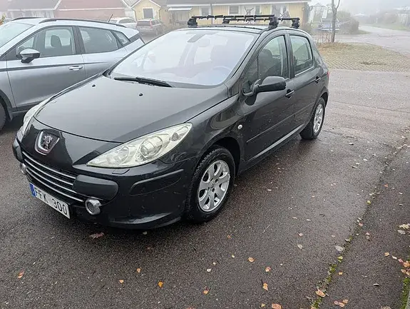 Peugeot 307 2007 photo 2