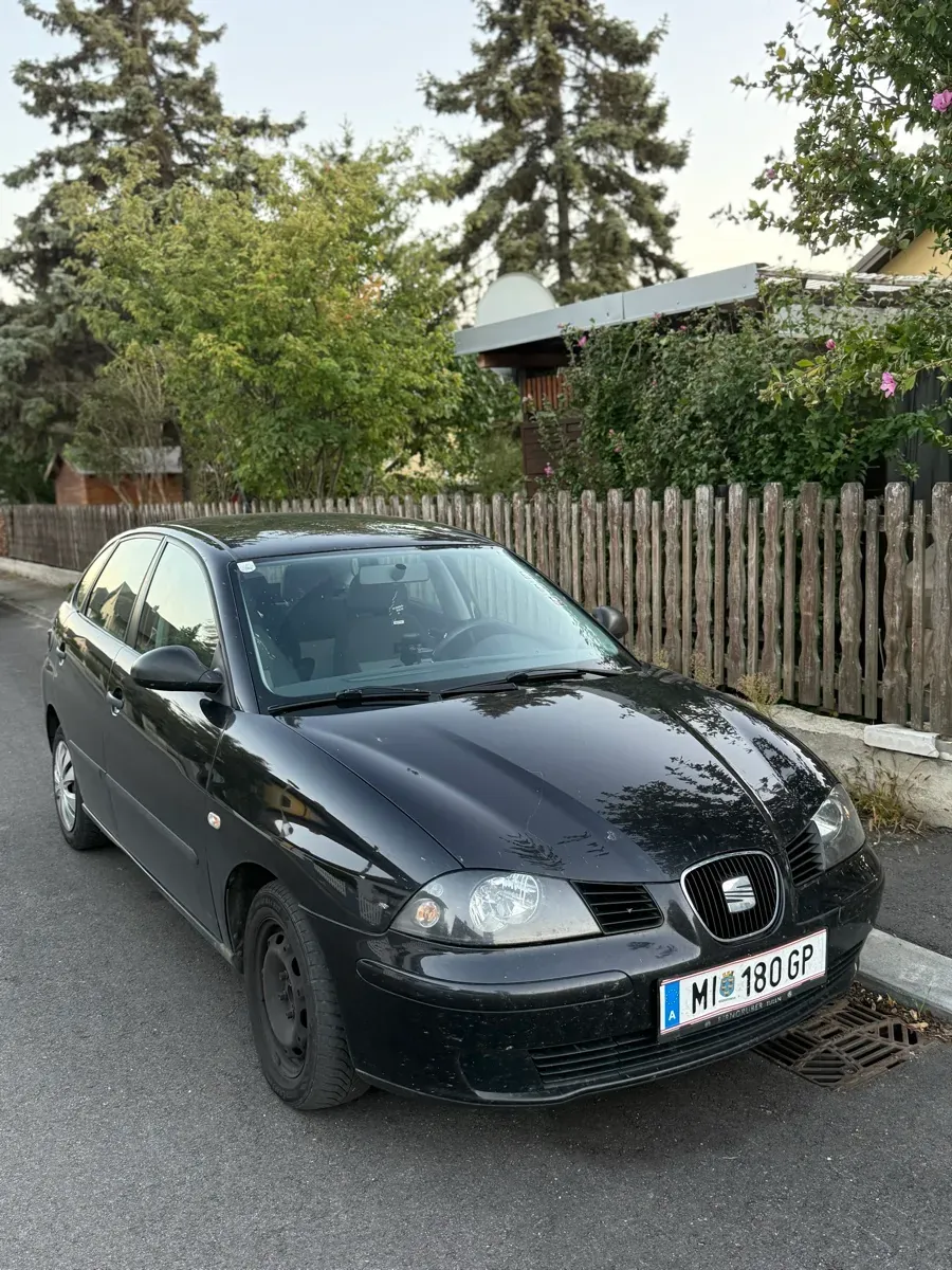 Seat Ibiza 2004 photo 3