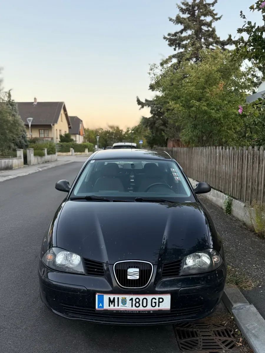 Seat Ibiza 2004 photo 2