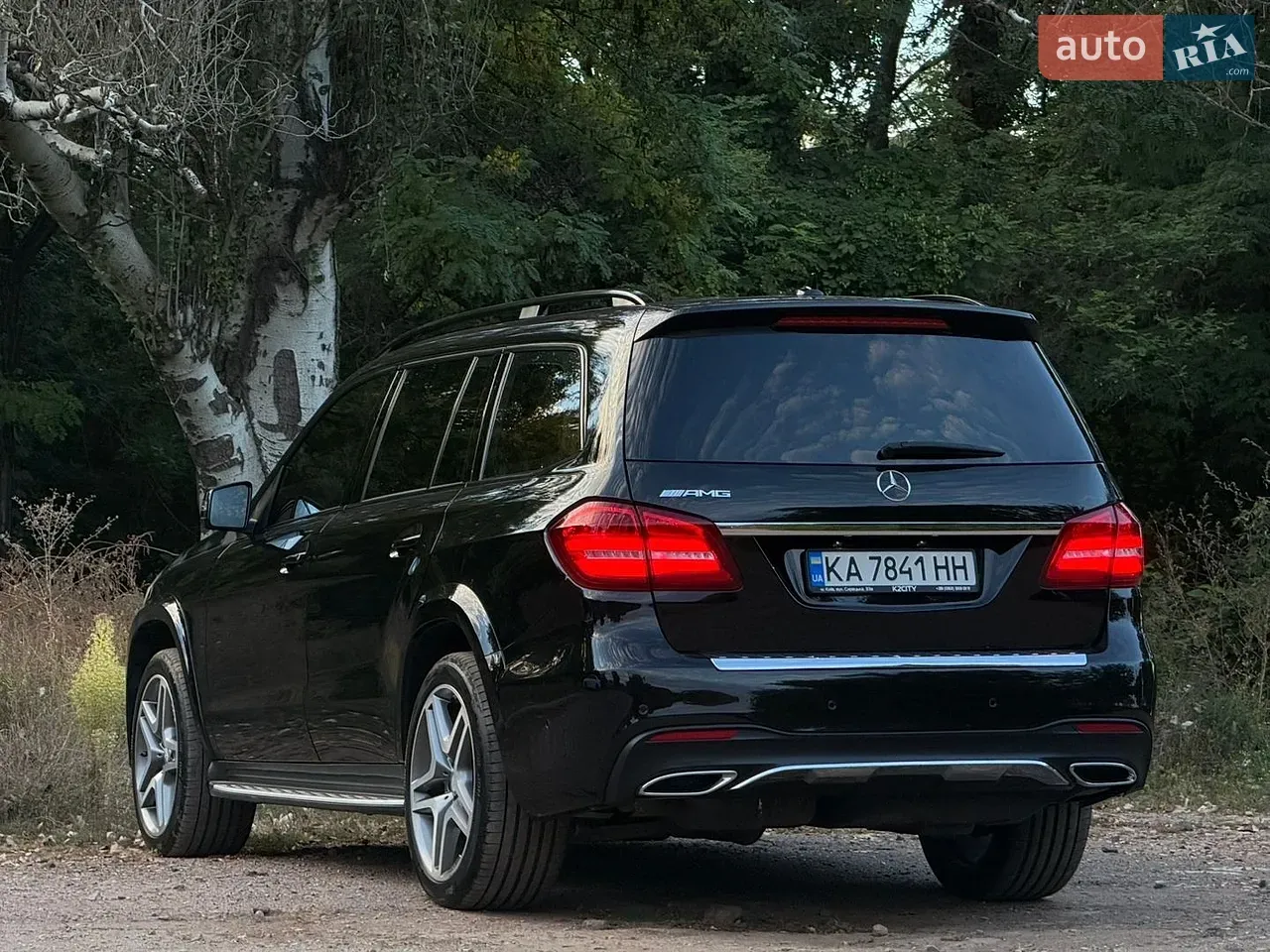 Mercedes-Benz Gls-Class 2016 photo 5