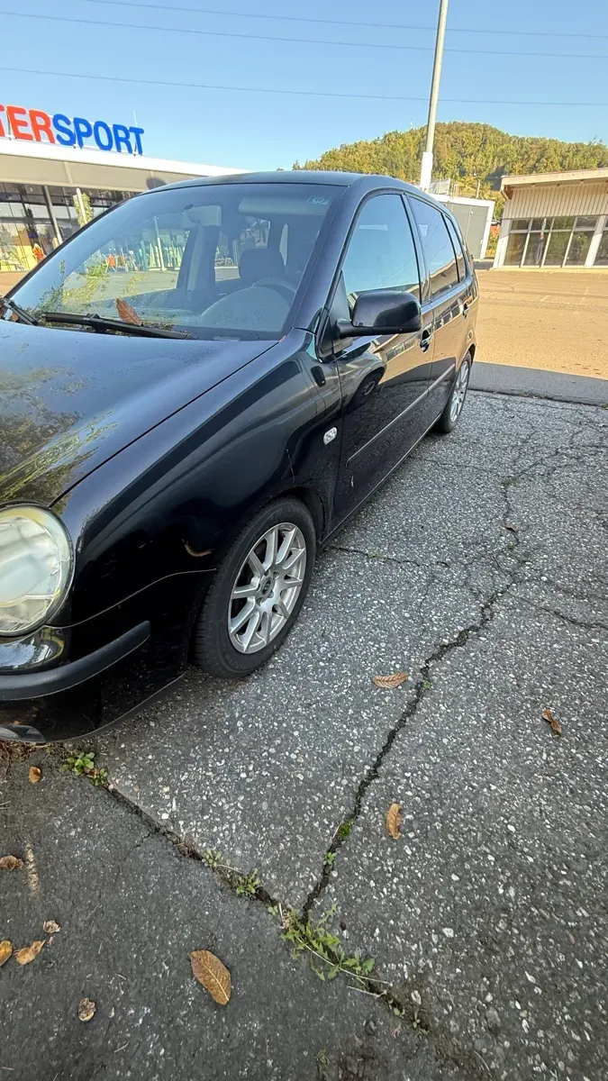 Volkswagen Polo 2003 photo 3