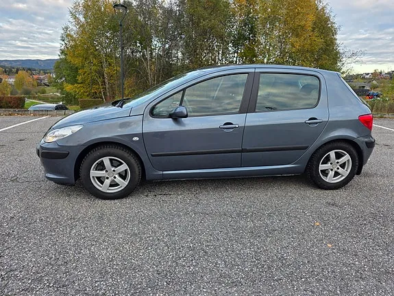 Peugeot 307 2005 photo 2