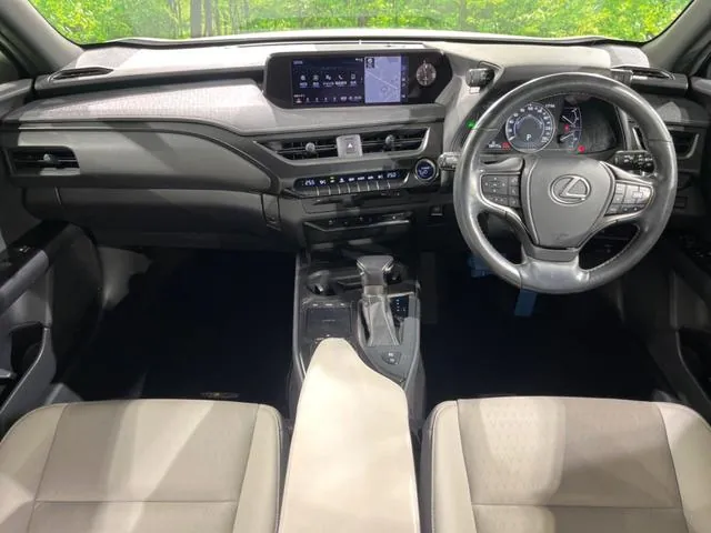 Lexus Ux250H 2019 photo 2