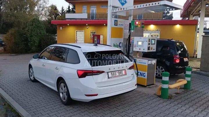 Skoda Octavia 2021 photo 2