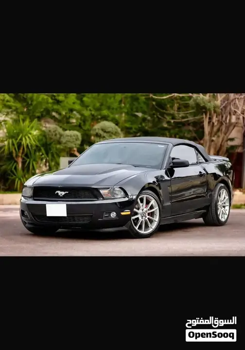 Ford Mustang 2010 photo 4
