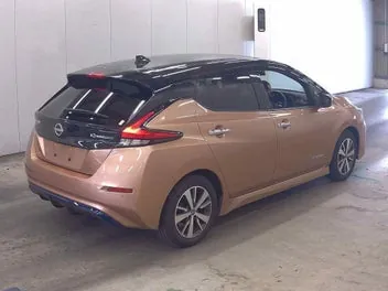 Nissan Leaf 2021 photo 5