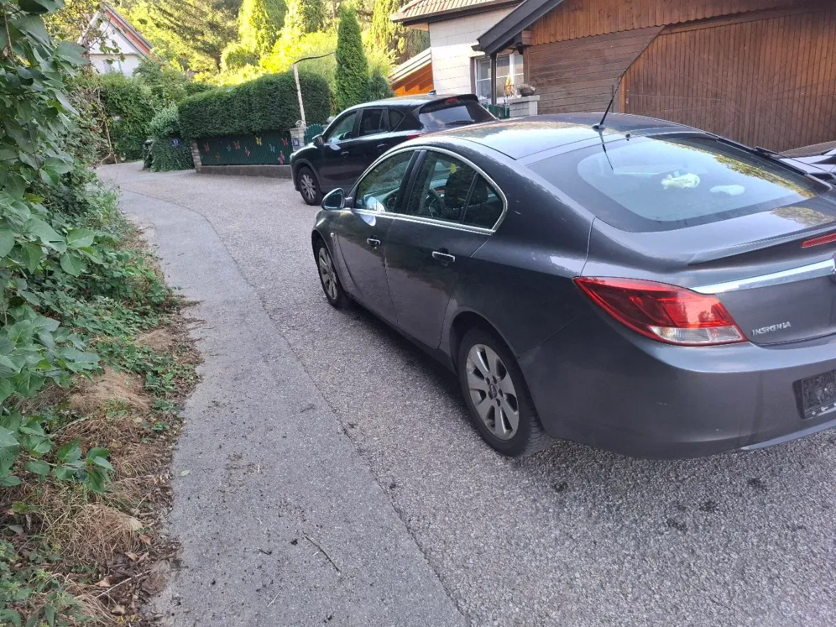 Opel Insignia 2009 photo 3