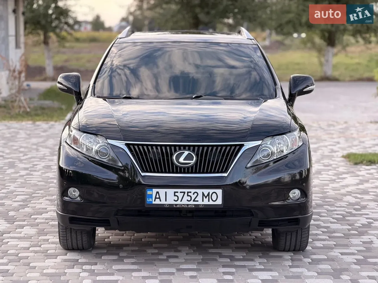 Lexus Rx 2010 2010 photo 2