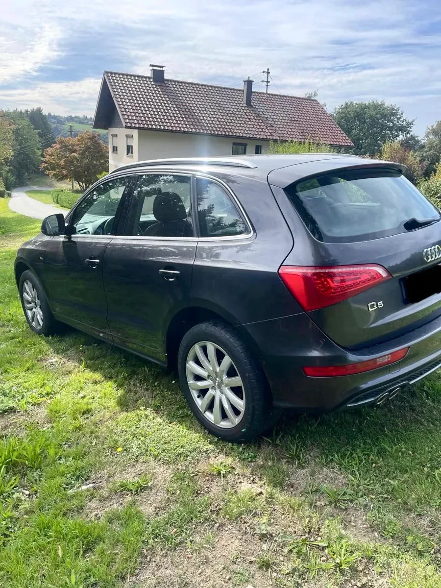 Audi Q5 2010 photo 3