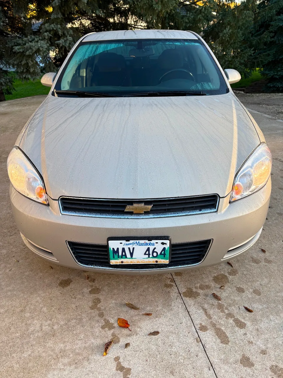 Chevrolet Impala 2010 photo 3