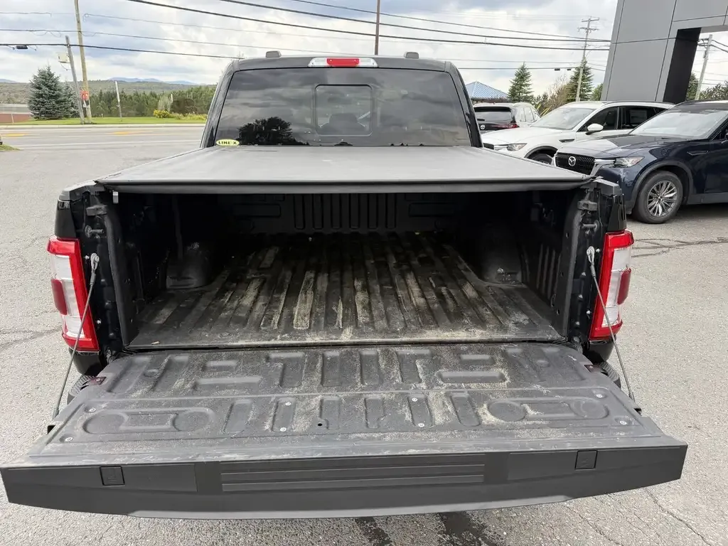 Ford F-150 2023 photo 4