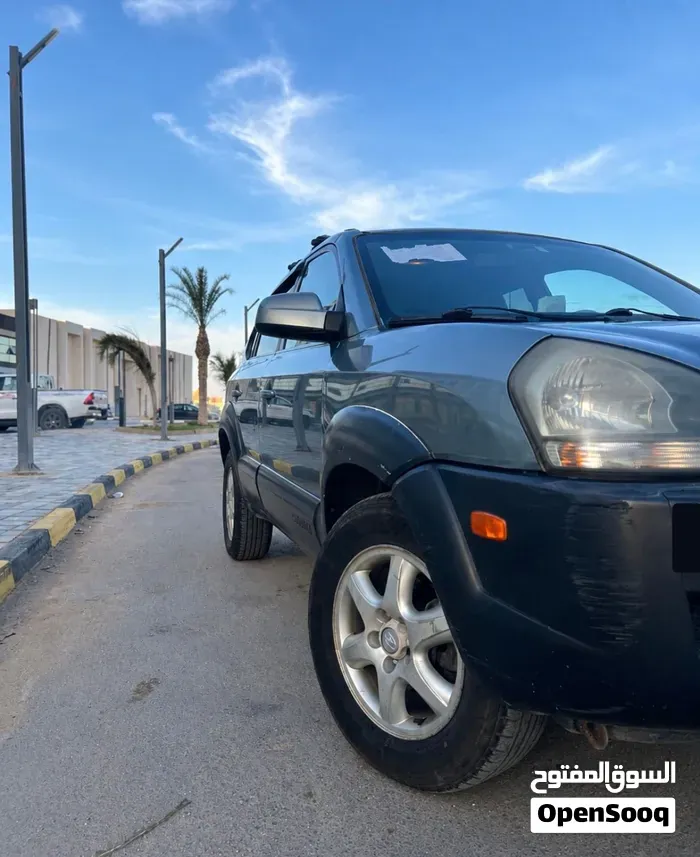 Hyundai Tucson 2007 photo 2