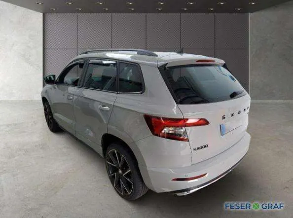 Skoda Karoq 2021 photo 4