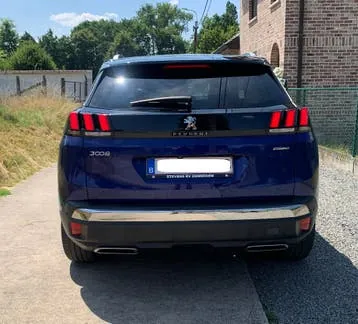 Peugeot 3008 2019 photo 3