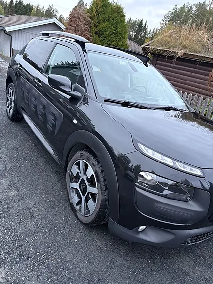 Citroen C4 Cactus 2015 photo 3
