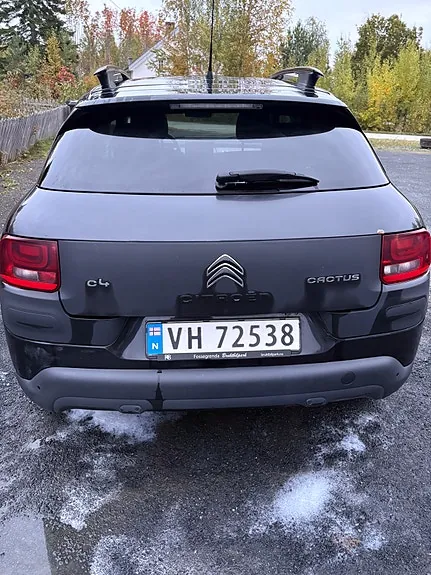 Citroen C4 Cactus 2015 photo 2