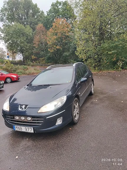 Peugeot 407