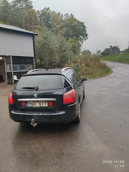 Peugeot 407 2009 photo 3