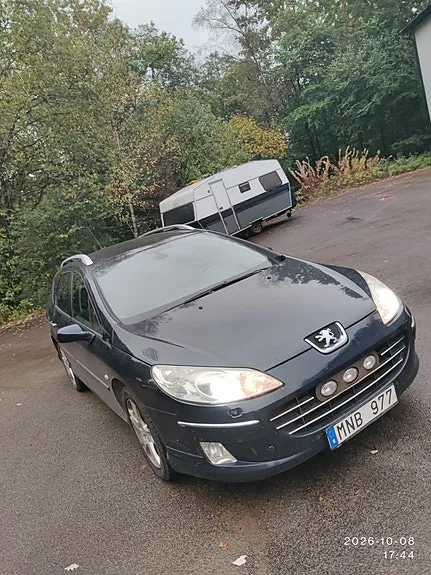 Peugeot 407 2009 photo 2