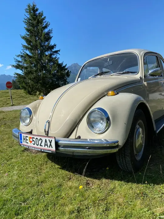 Volkswagen Käfer 1967 photo 2