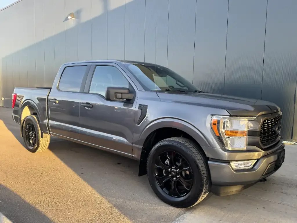 Ford F-150 2022 photo 3