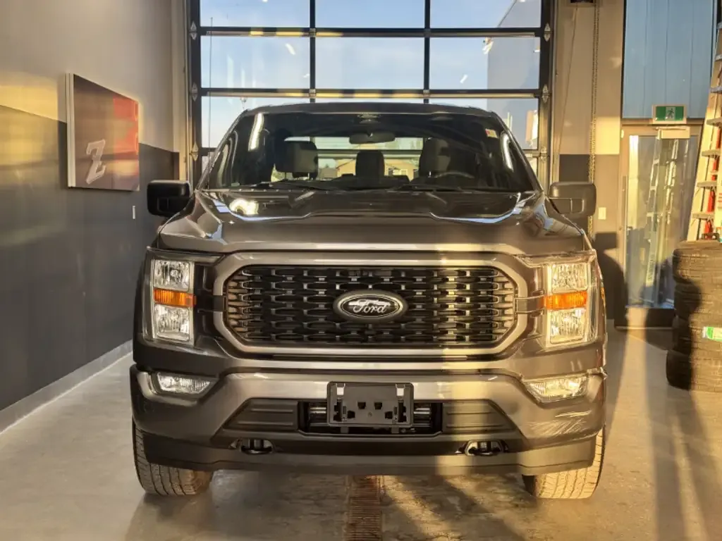 Ford F-150 2022 photo 2