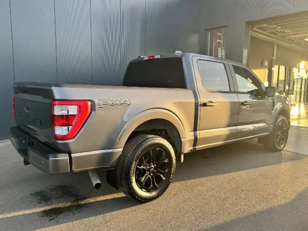 Ford F-150 2022 photo 4