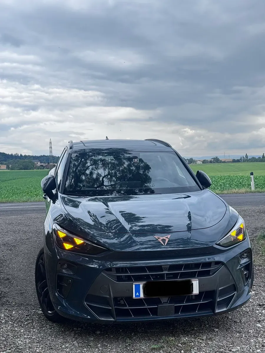Cupra Terramar