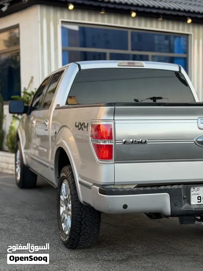 Ford F-150 2009 photo 3