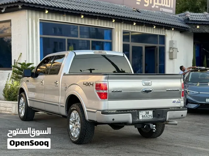 Ford F-150 2009 photo 2