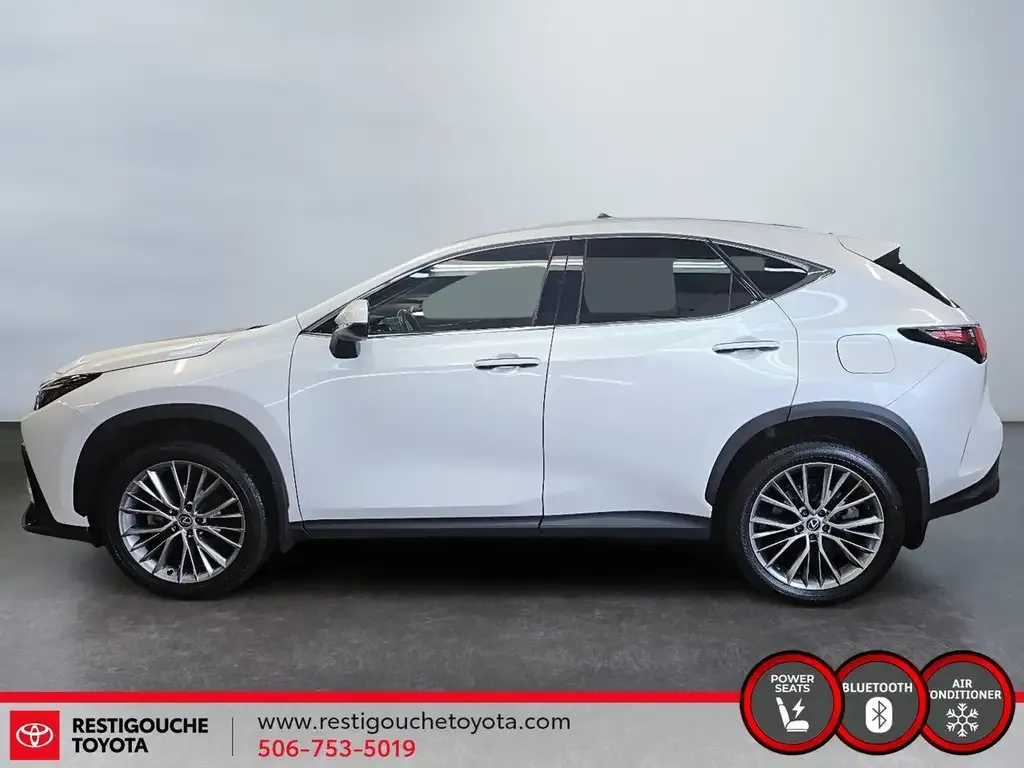 Lexus Nx 2024 photo 5