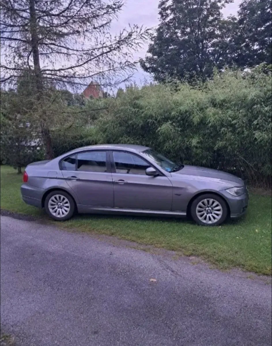 BMW 3 Series 2009 photo 2