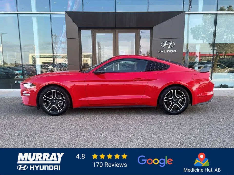Ford Mustang 2019 photo 5