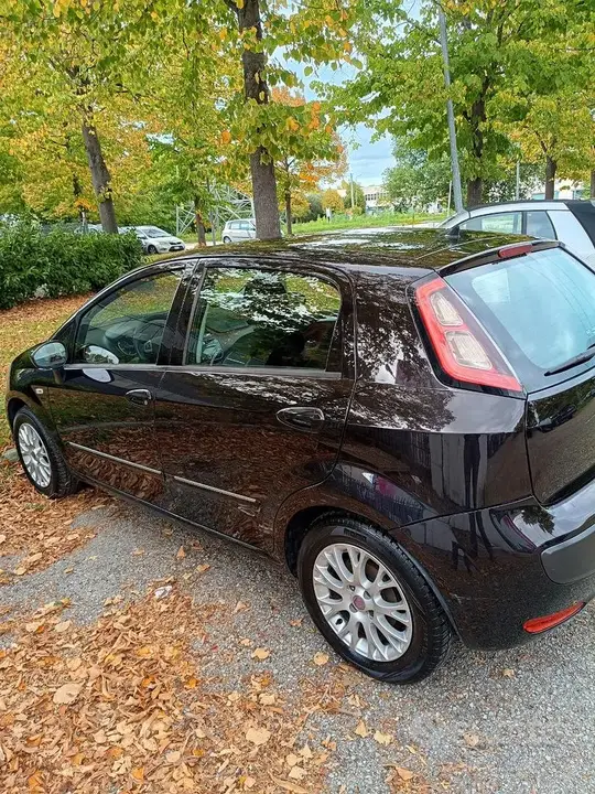 Fiat Punto 2012 photo 4