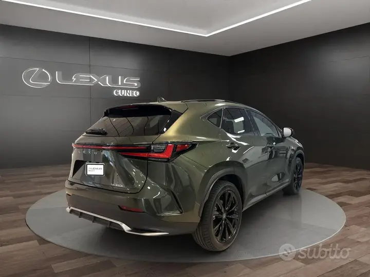 Lexus Nx photo 5
