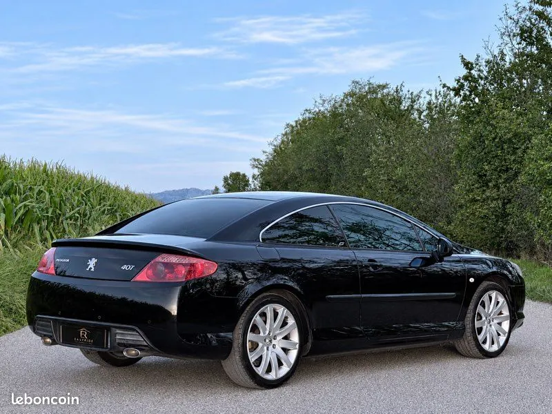 Peugeot 407 2010 photo 2