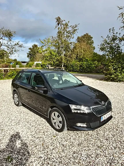 Skoda Fabia 2019 photo 3