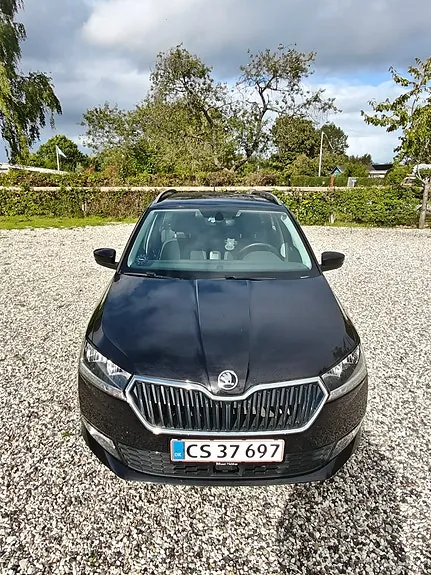 Skoda Fabia 2019 photo 2